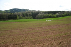 Vache-Belfort-2008-02