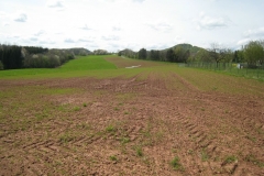 Vache-Belfort-2008-03