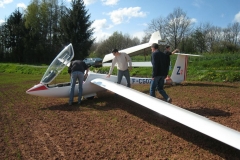 Vache-Belfort-2008-04