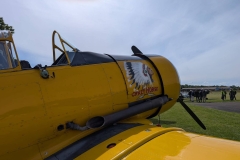 IMG-20260518-WA0006